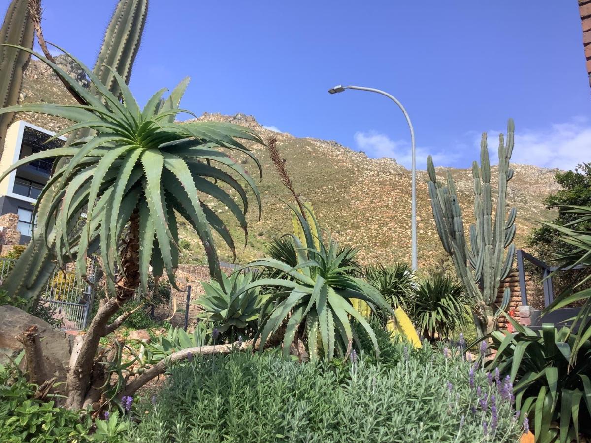 Studio With Unforgettable View Gordonʼs Bay Extérieur photo